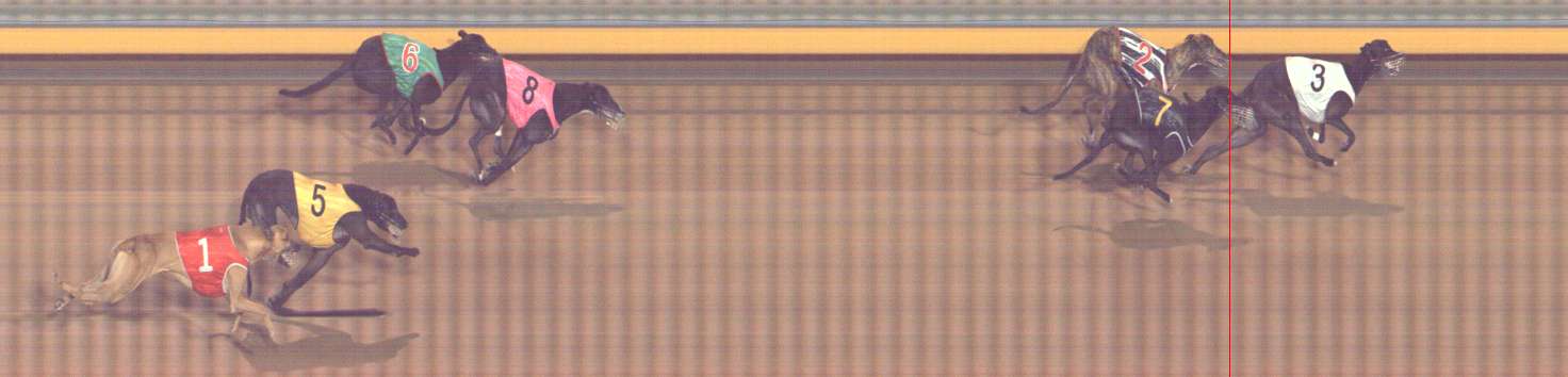 Photo finish for Bendigo Race 7