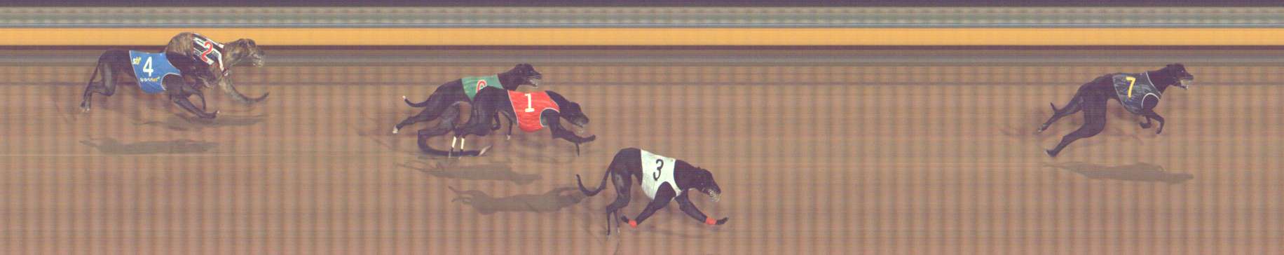 Photo finish for Bendigo Race 8