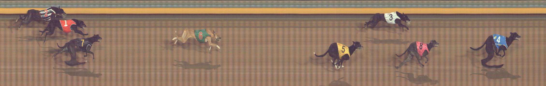 Photo finish for Bendigo Race 9