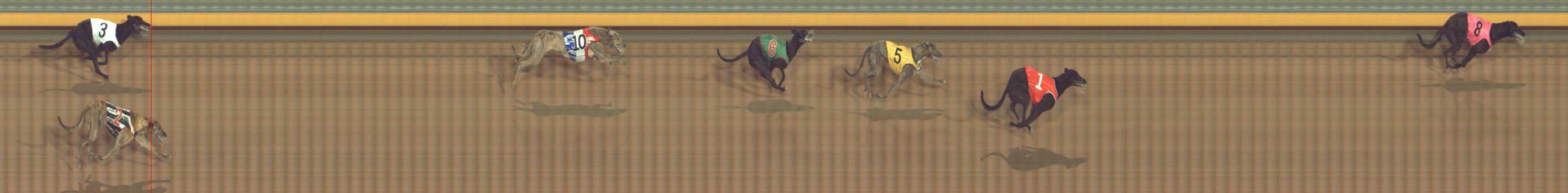 Photo finish for Bendigo Race 10