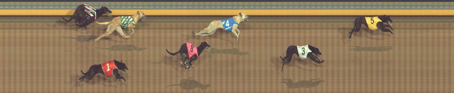 Photo finish for Bendigo Race 11