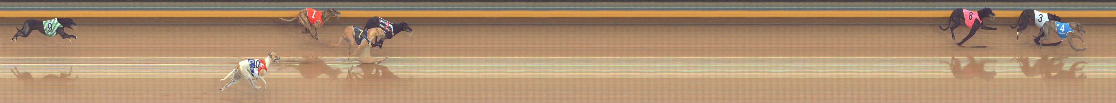 Photo finish for Bendigo Race 2