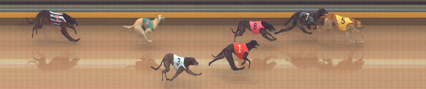 Photo finish for Bendigo Race 3