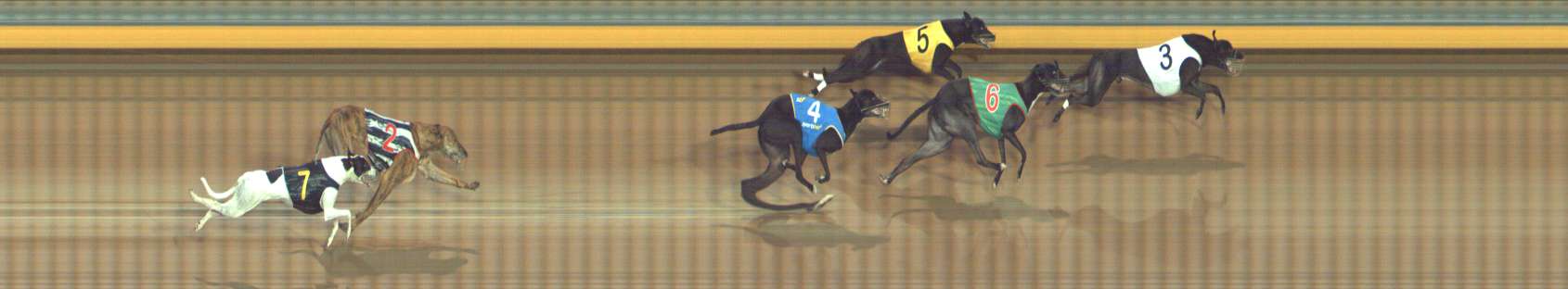 Photo finish for Bendigo Race 5