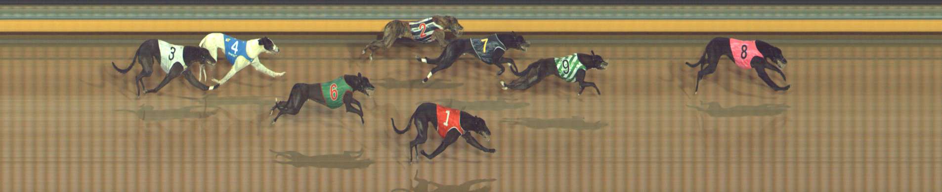 Photo finish for Bendigo Race 7