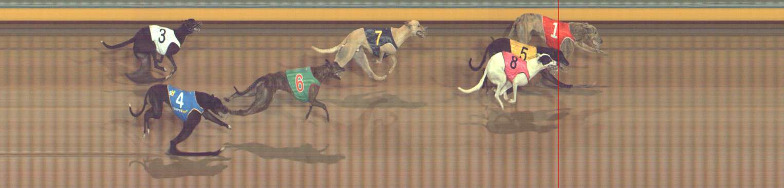 Photo finish for Bendigo Race 9