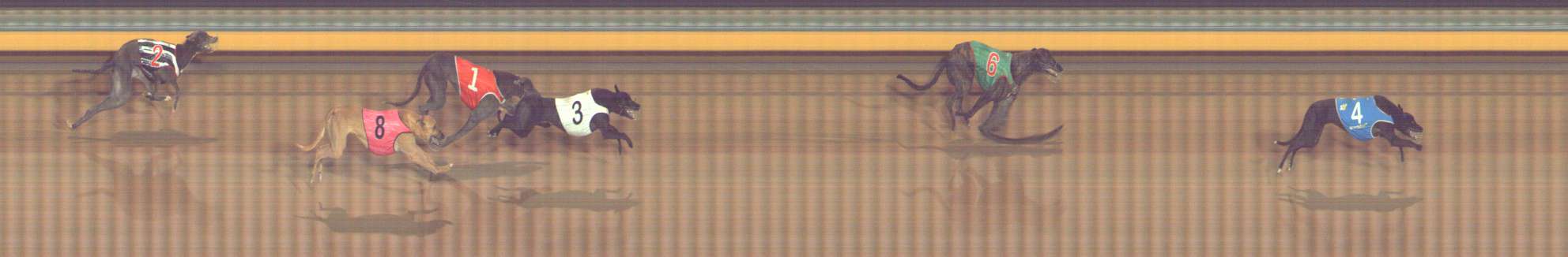 Photo finish for Bendigo Race 11