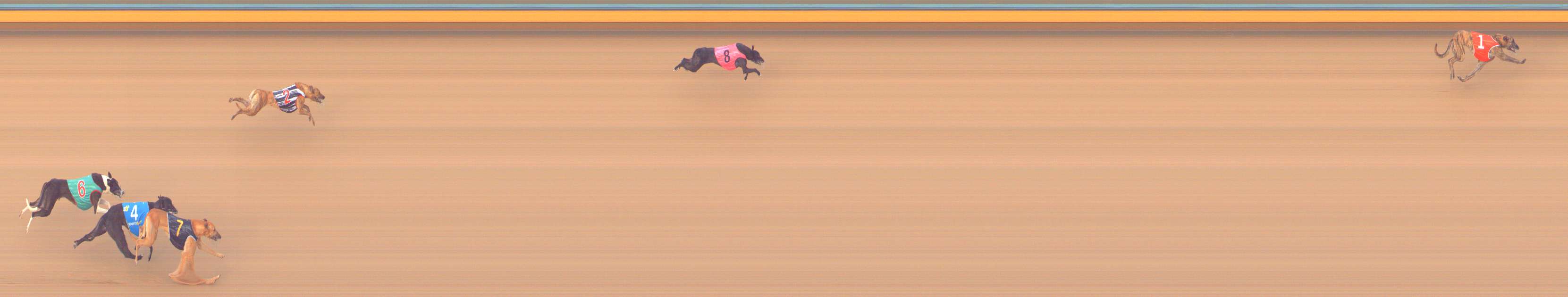 Photo finish for Bendigo Race 2