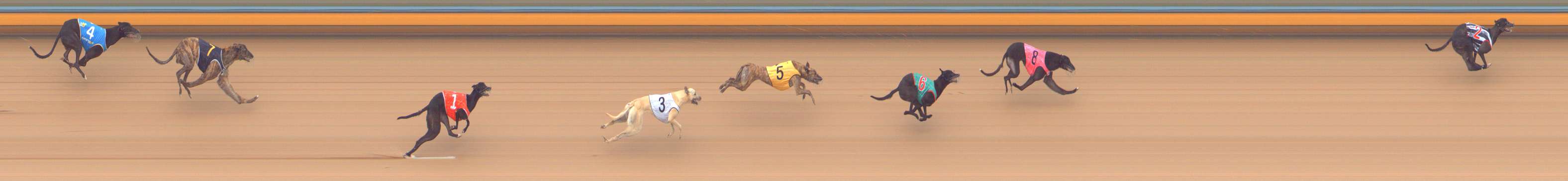 Photo finish for Bendigo Race 4