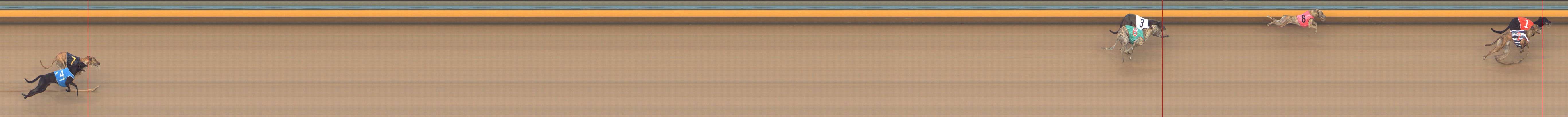 Photo finish for Bendigo Race 5