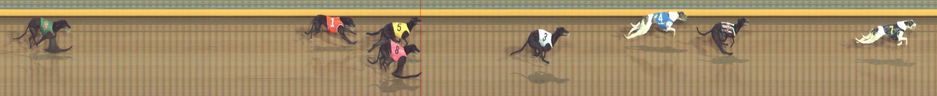Photo finish for Bendigo Race 9