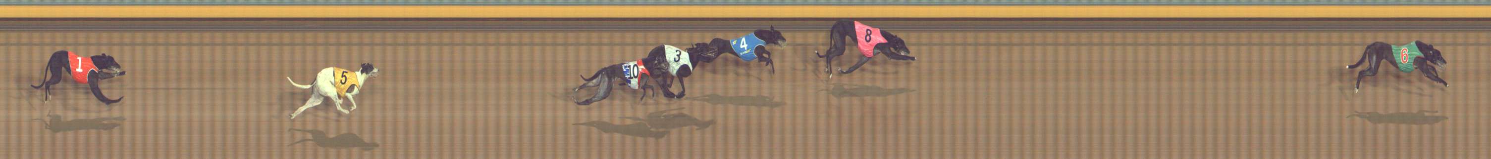 Photo finish for Bendigo Race 12