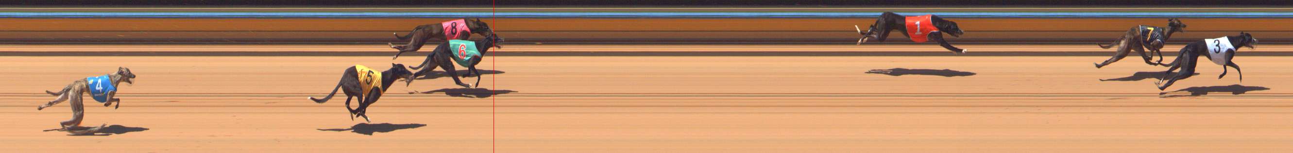 Photo finish for Bendigo Race 2