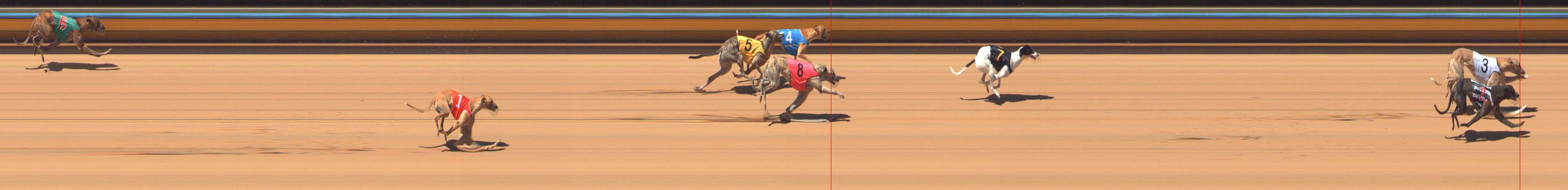 Photo finish for Bendigo Race 3