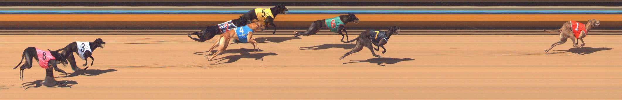 Photo finish for Bendigo Race 5