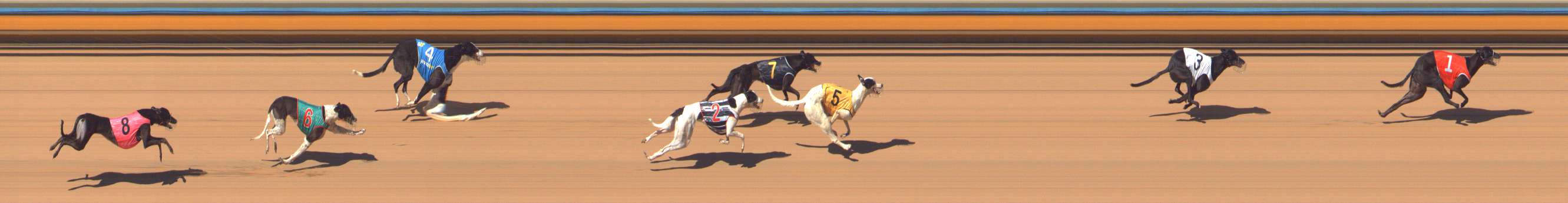 Photo finish for Bendigo Race 6