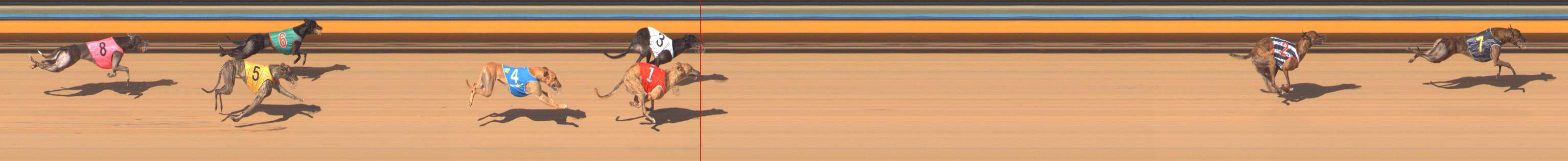 Photo finish for Bendigo Race 8