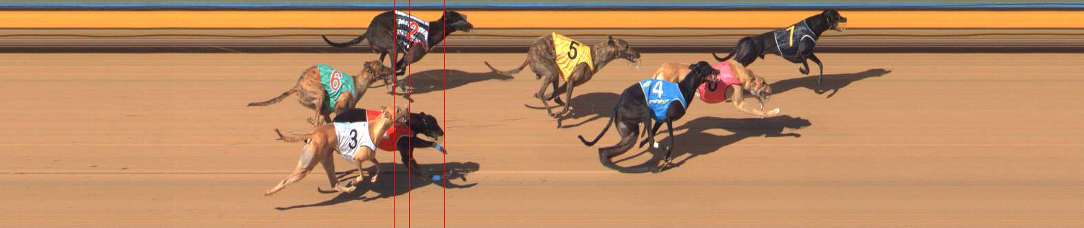 Photo finish for Bendigo Race 9