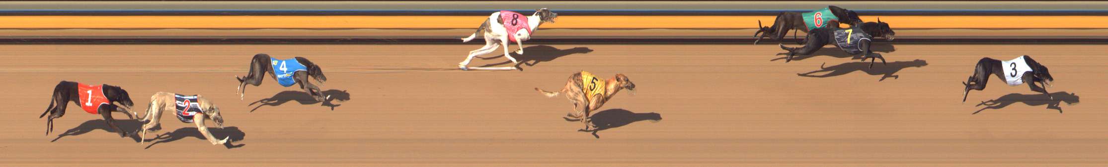 Photo finish for Bendigo Race 10