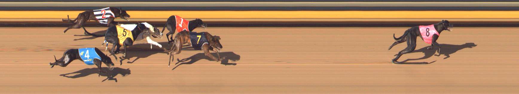 Photo finish for Bendigo Race 11