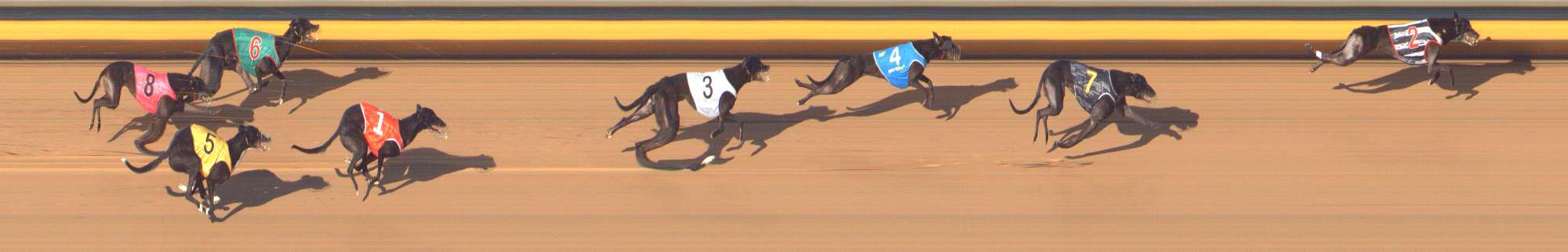 Photo finish for Bendigo Race 12