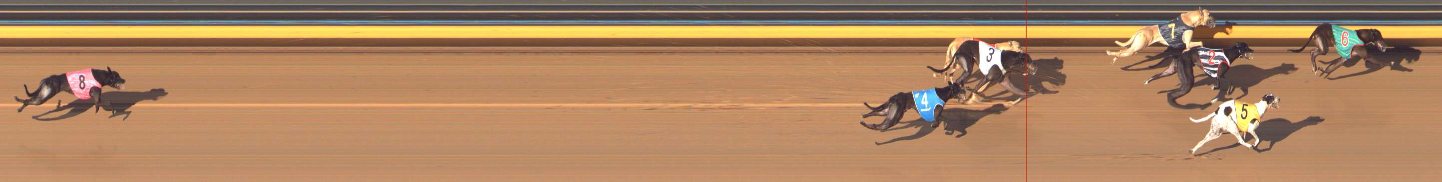 Photo finish for Bendigo Race 13