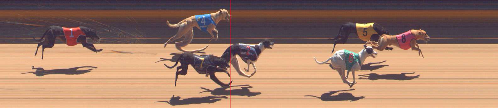 Photo finish for Bendigo Race 2