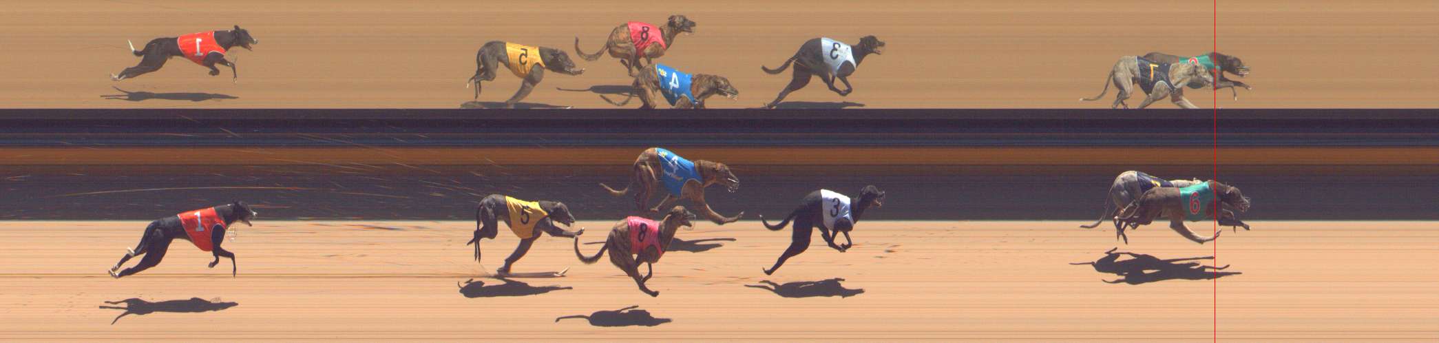 Photo finish for Bendigo Race 3