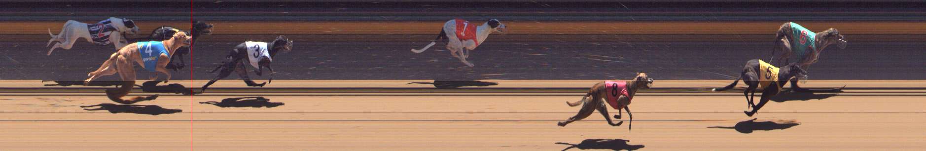 Photo finish for Bendigo Race 5