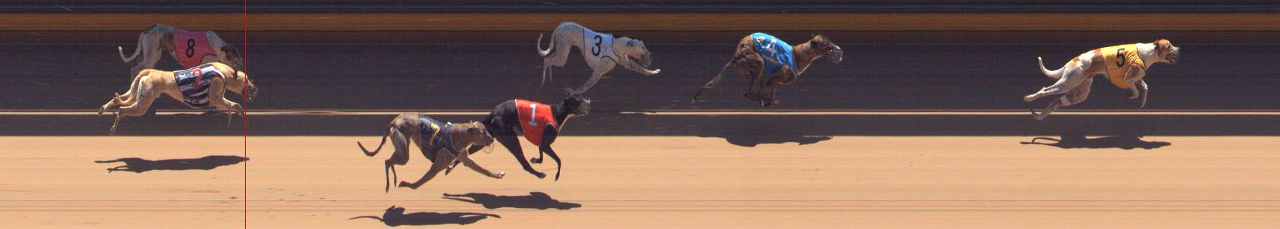 Photo finish for Bendigo Race 6