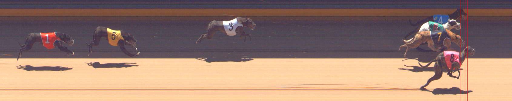 Photo finish for Bendigo Race 7