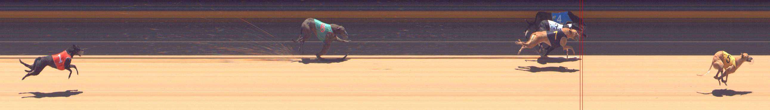 Photo finish for Bendigo Race 8