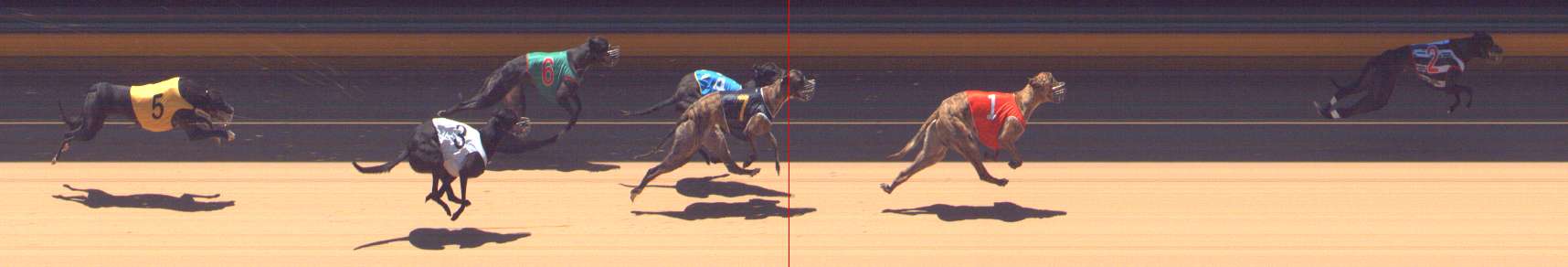 Photo finish for Bendigo Race 9