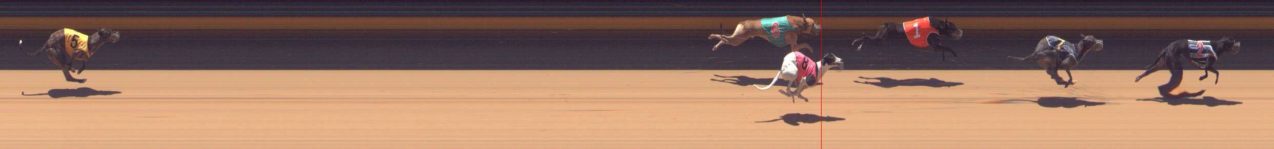 Photo finish for Bendigo Race 10