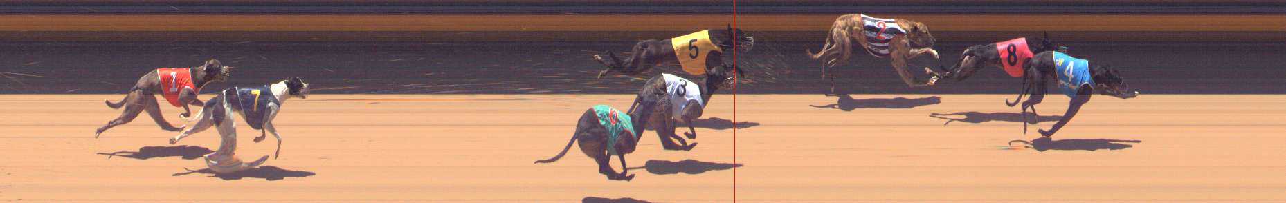 Photo finish for Bendigo Race 11