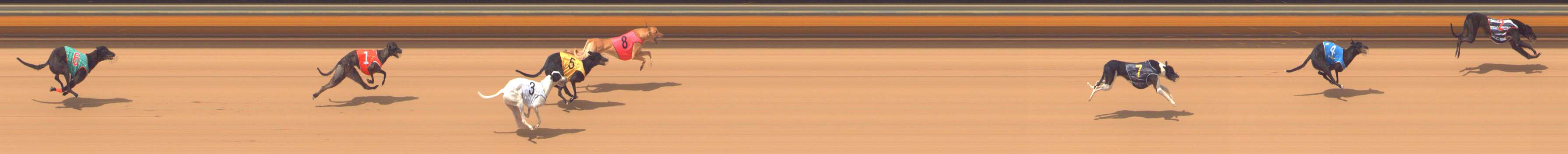 Photo finish for Bendigo Race 1