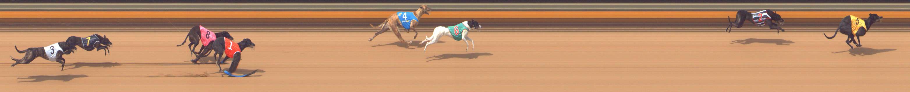 Photo finish for Bendigo Race 2