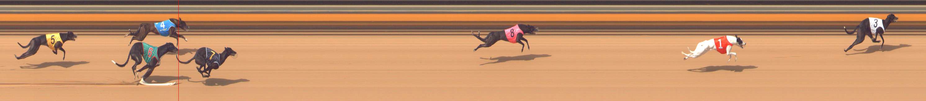 Photo finish for Bendigo Race 3