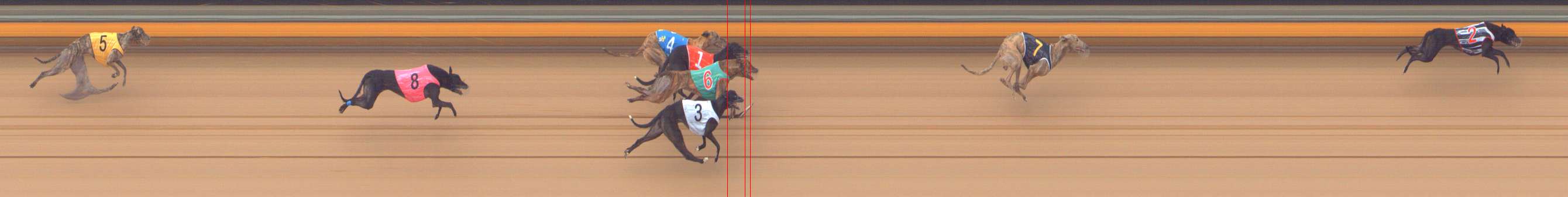Photo finish for Bendigo Race 5