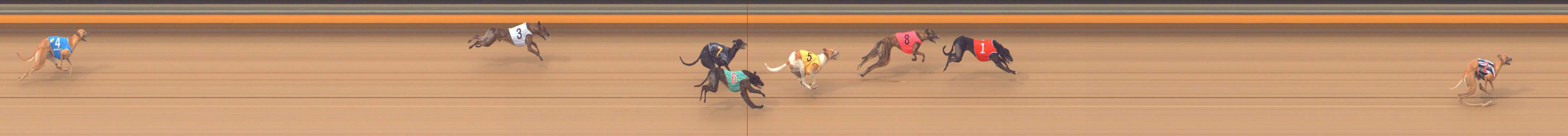 Photo finish for Bendigo Race 6