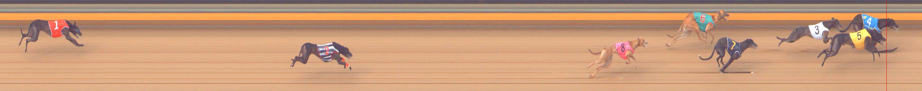 Photo finish for Bendigo Race 7