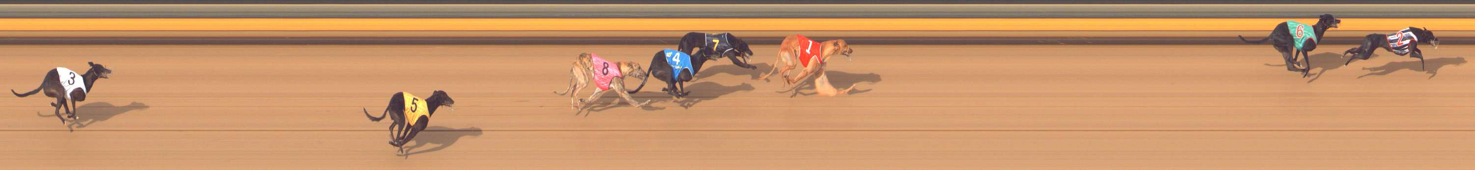 Photo finish for Bendigo Race 8