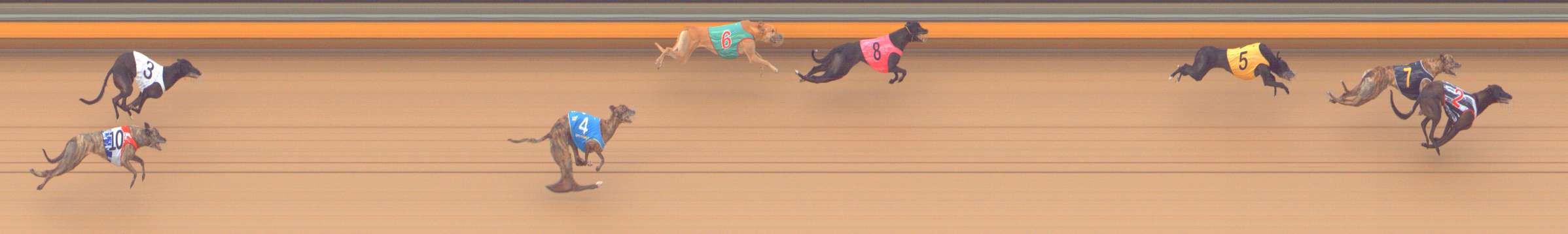 Photo finish for Bendigo Race 10