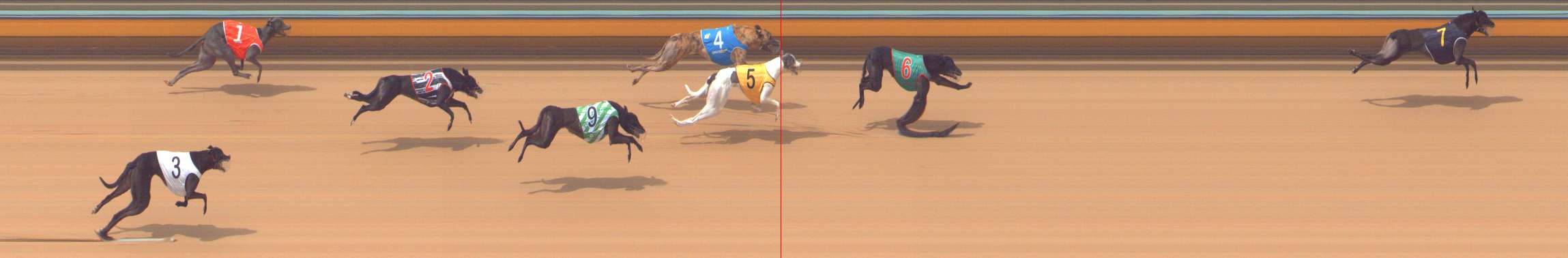 Photo finish for Bendigo Race 5