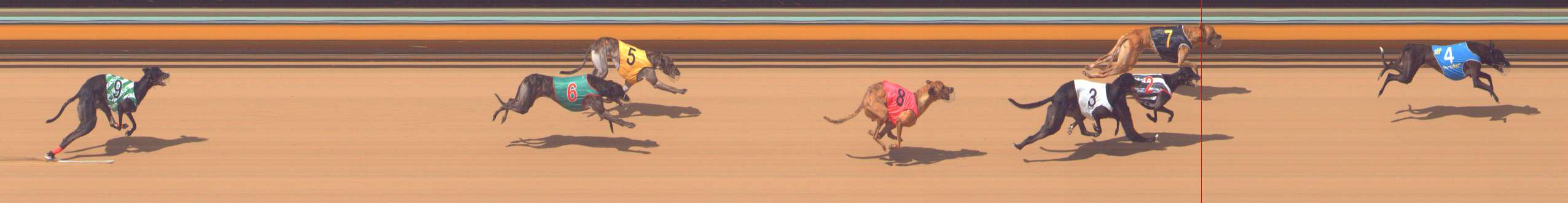 Photo finish for Bendigo Race 7