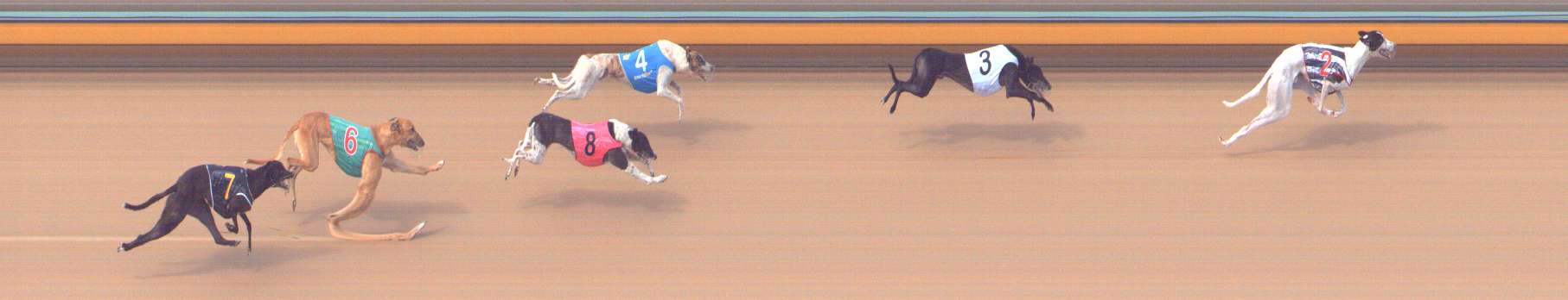 Photo finish for Bendigo Race 8