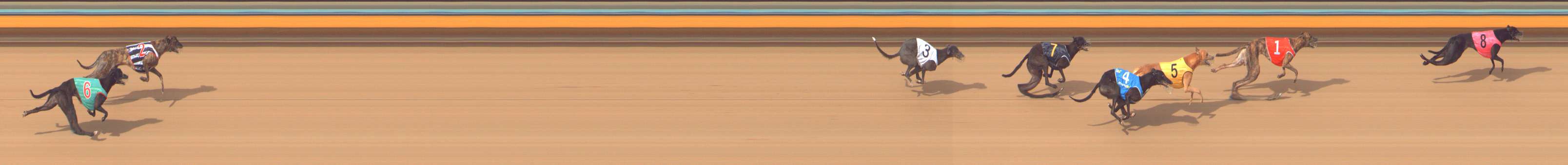 Photo finish for Bendigo Race 9