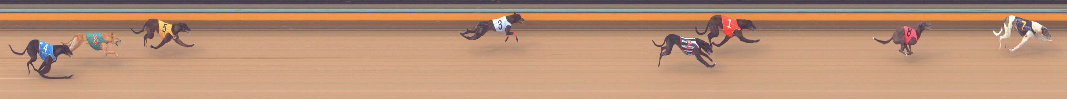 Photo finish for Bendigo Race 10