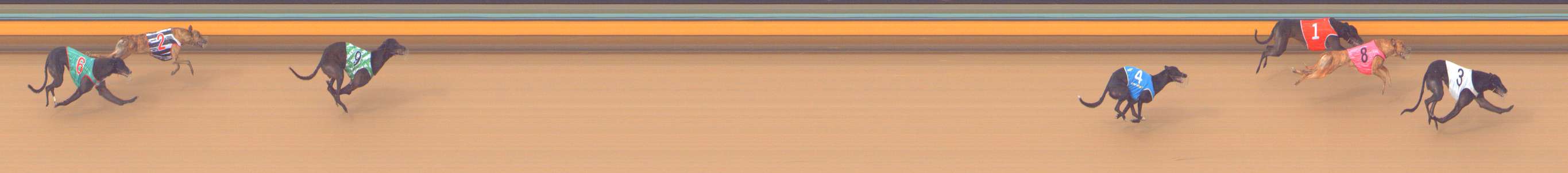 Photo finish for Bendigo Race 11