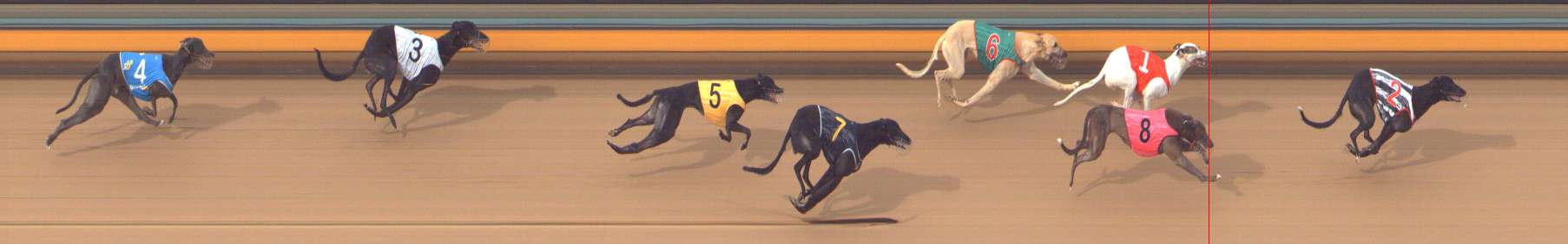 Photo finish for Bendigo Race 12